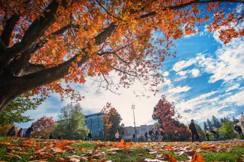 Picture for Announcing UBC’s 2018-2019 Banting Postdoctoral Fellows